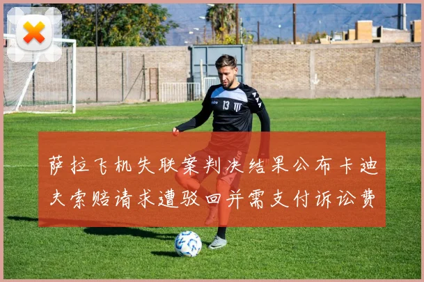 萨拉飞机失联案判决结果公布卡迪夫索赔请求遭驳回并需支付诉讼费