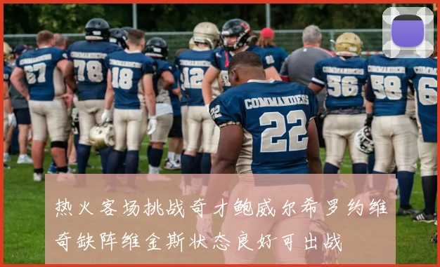 热火客场挑战奇才鲍威尔希罗约维奇缺阵维金斯状态良好可出战