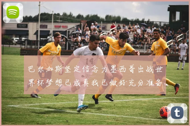 巴尔加斯坚定信念为墨西哥出战世界杯梦想已成真我已做好充分准备